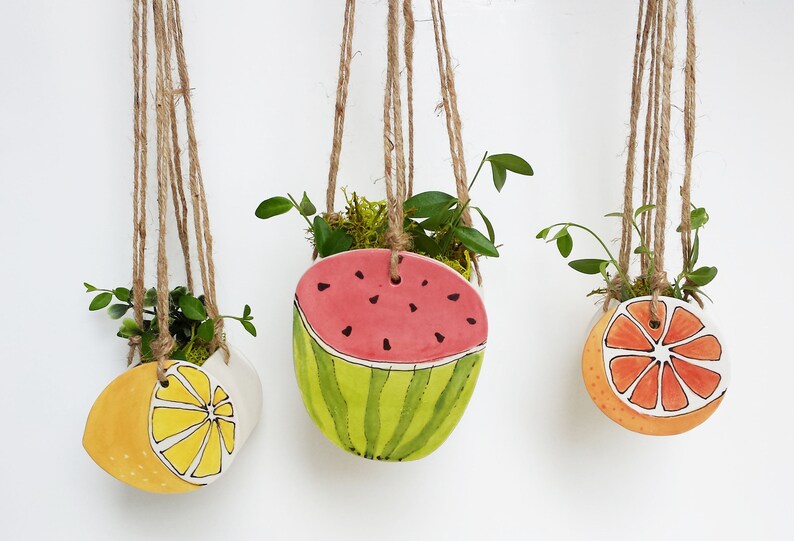 Perfect cactus or succulent planter Unique suspended planter! Small watermelon planter