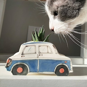 Small bleu vintage car planter.