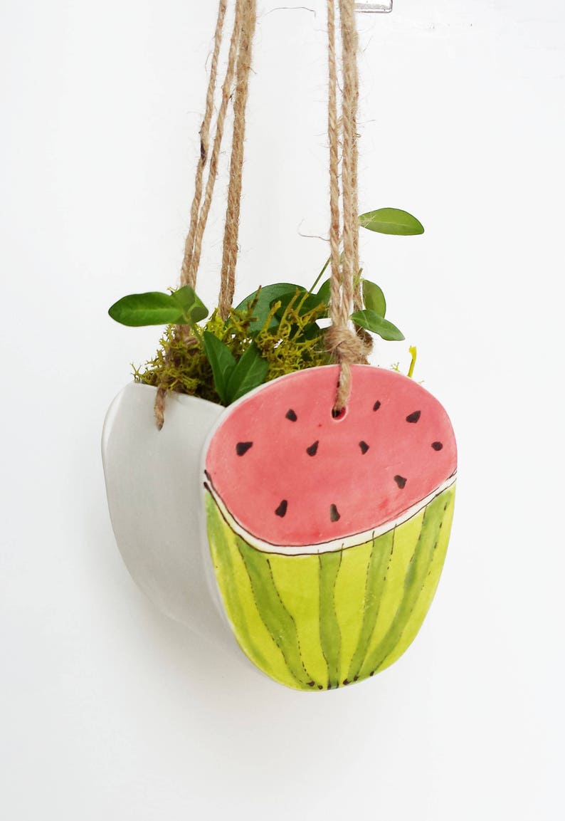 Perfect cactus or succulent planter Unique suspended planter! Small watermelon planter
