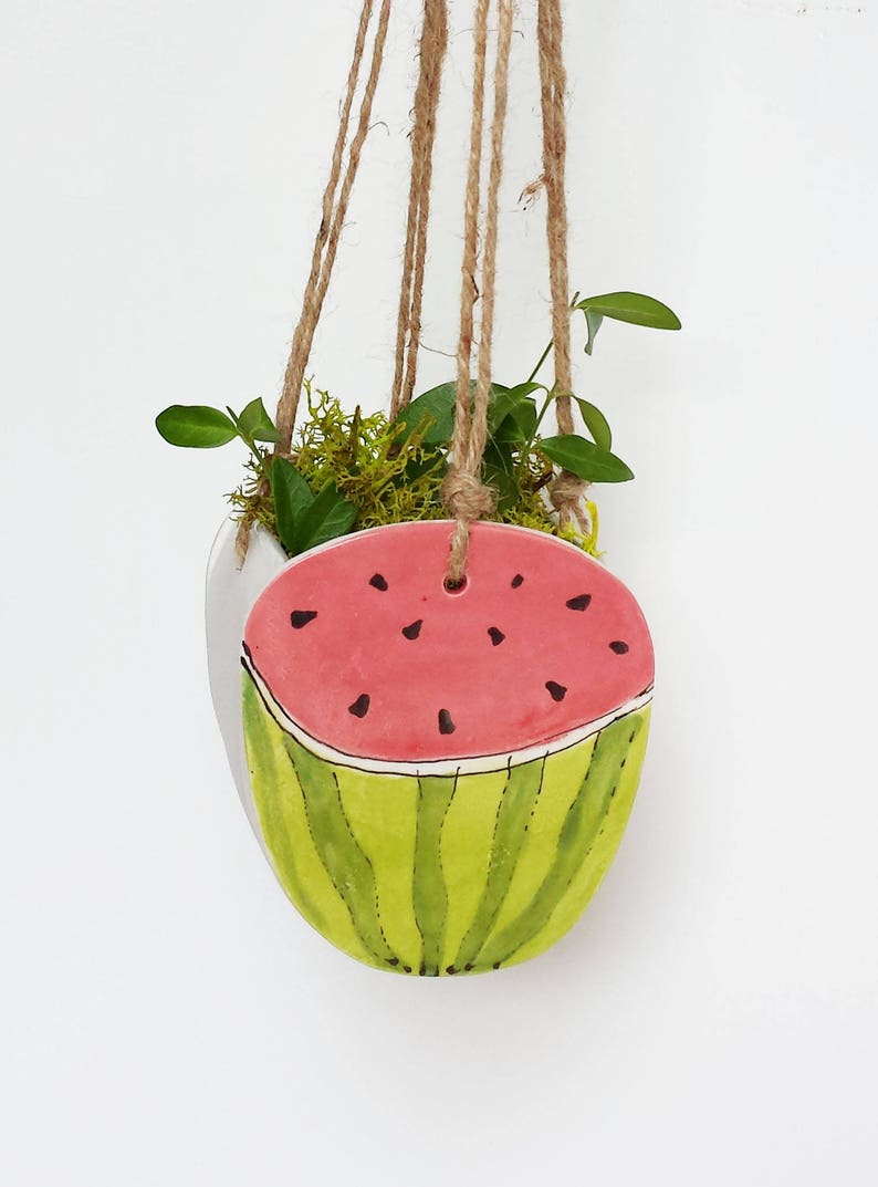 Perfect cactus or succulent planter Unique suspended planter! Small watermelon planter