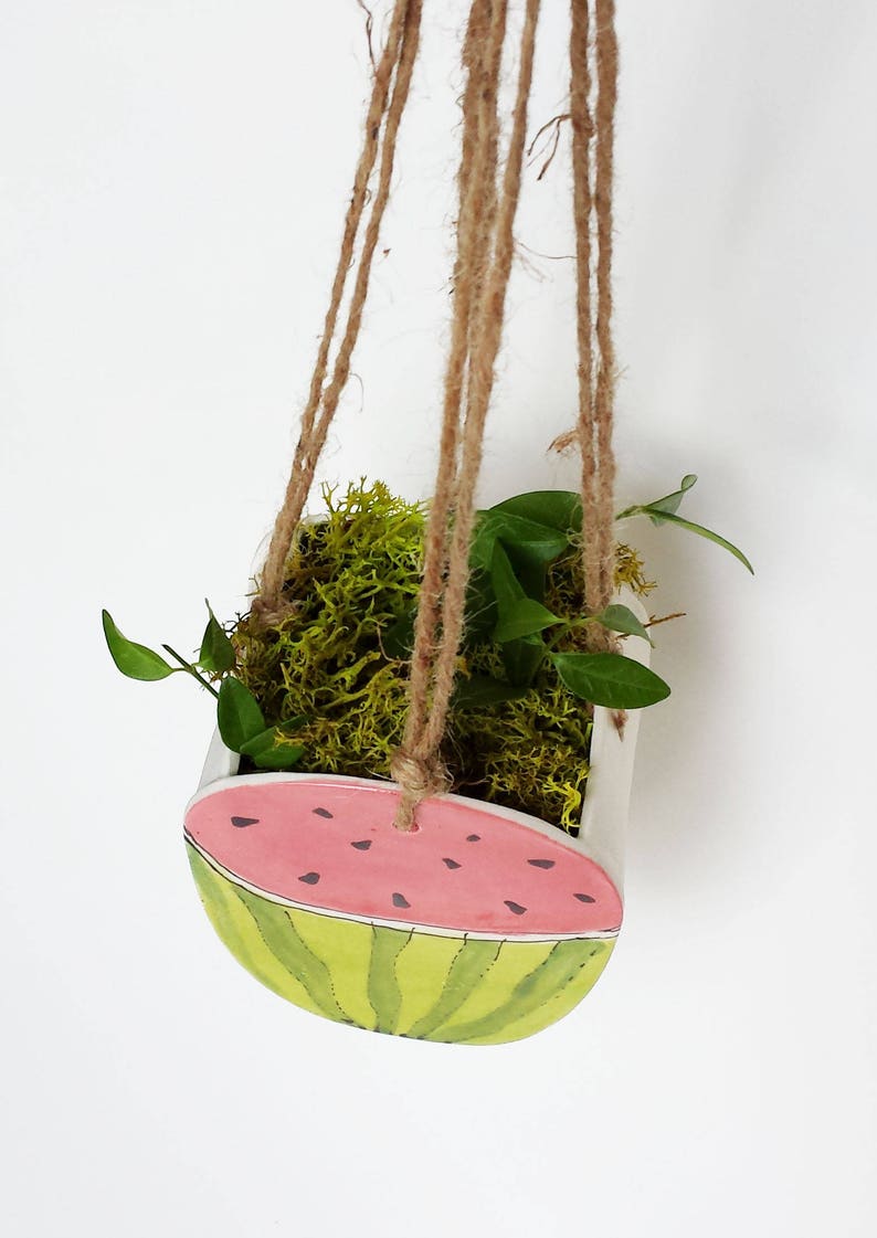 Perfect cactus or succulent planter Unique suspended planter! Small watermelon planter