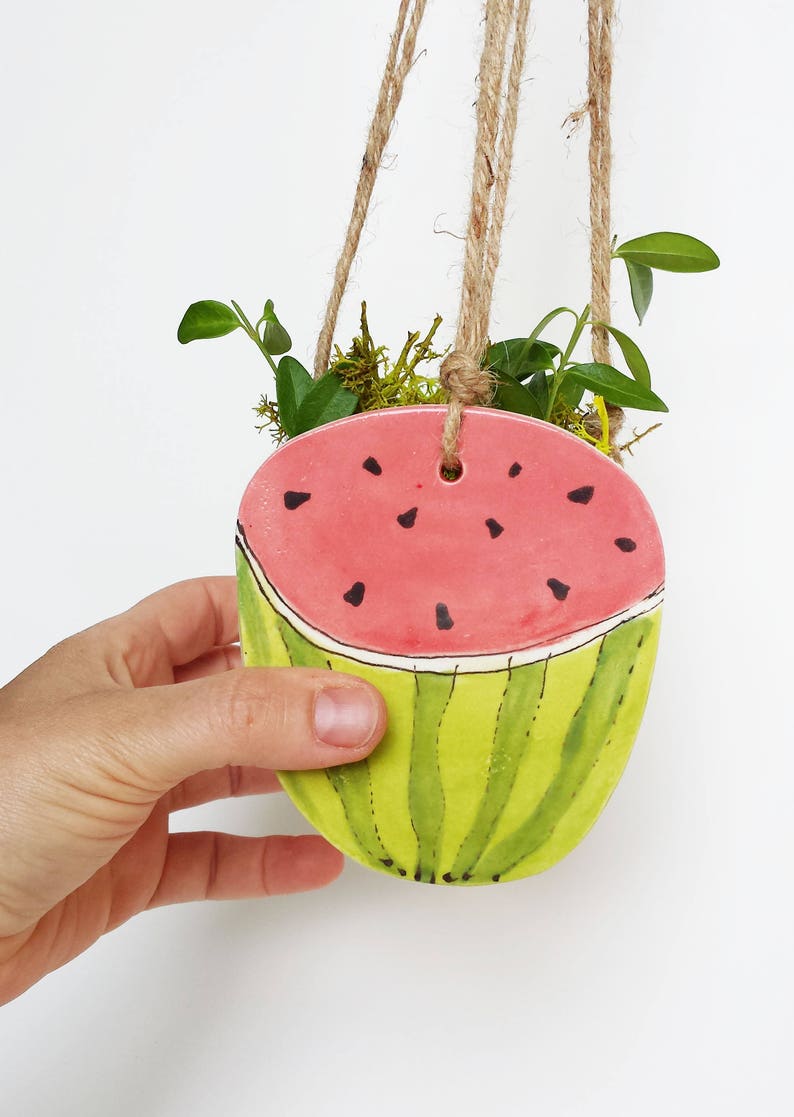Perfect cactus or succulent planter Unique suspended planter! Small watermelon planter