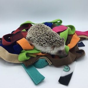 Bandes polaires, jouets et literie pour hérissons, cobayes, rats, planeurs en sucre, etc.