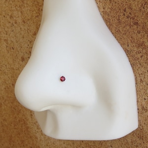 May include: A white plastic nose ring display with a small red gemstone.