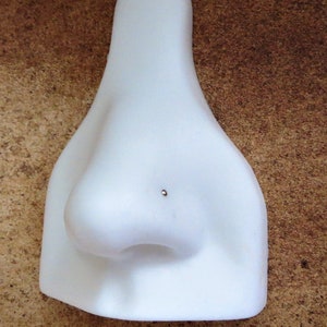 May include: White plastic nose piercing practice tool with a small hole for a stud.