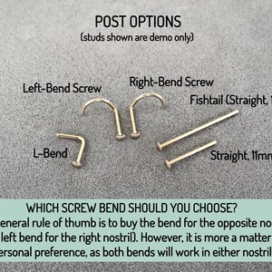 May include: Close-up of four different nose piercing post options: a left-bend screw, a right-bend screw, a straight 19mm fishtail post, and a straight 11mm post. The text reads "POST OPTIONS (studs shown are demo only)" and "WHICH SCREW BEND SHOULD YOU CHOOSE? The general rule of thumb is to buy the bend for the opposite nostril (i.e. left bend for the right nostril). However, it is more a matter of personal preference, as both bends will work in either nostril."