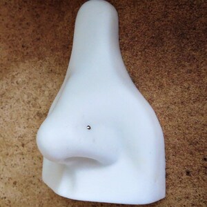 May include: White plastic nose piercing practice model with a small silver stud in the nostril.