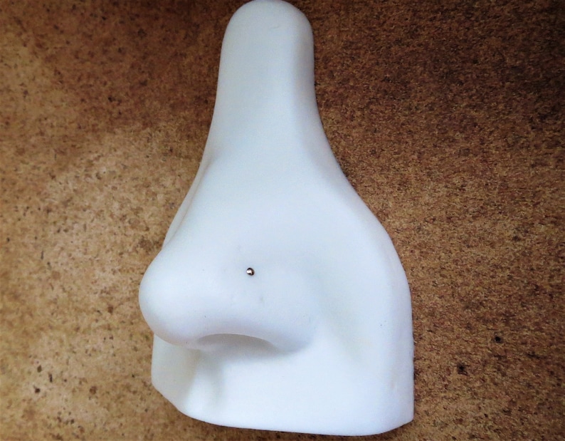 May include: White plastic nose piercing practice model with a small silver stud in the nostril.