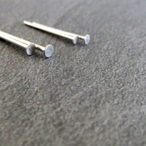May include: Two silver metal push pins with rounded heads.