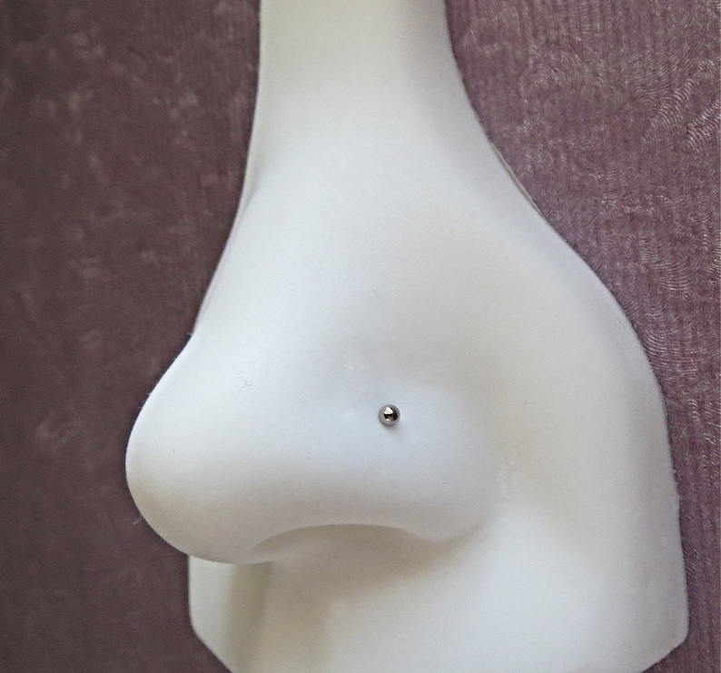 May include: A close-up of a white plastic nose ring display with a silver nose ring stud inserted in the piercing hole.