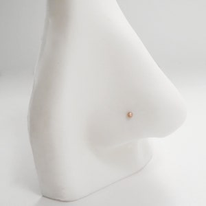 May include: A close-up of a white nose piercing mannequin with a small, round, rose gold nose ring stud.