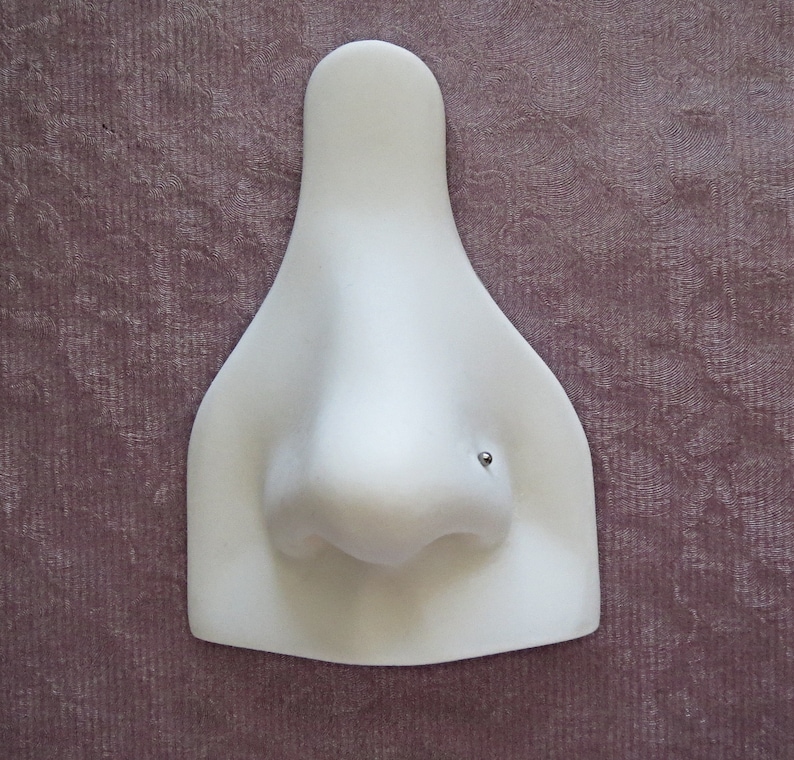 May include: White plastic nose piercing practice tool with a small silver stud in the nostril.