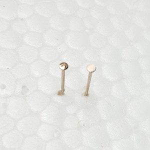 May include: Two small, gold-colored nose studs on a white background.