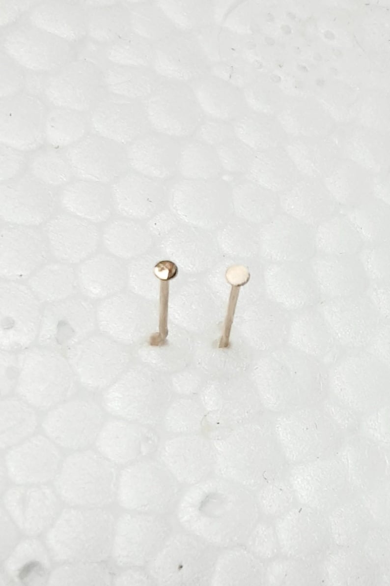 May include: Two small, gold-colored nose studs on a white background.