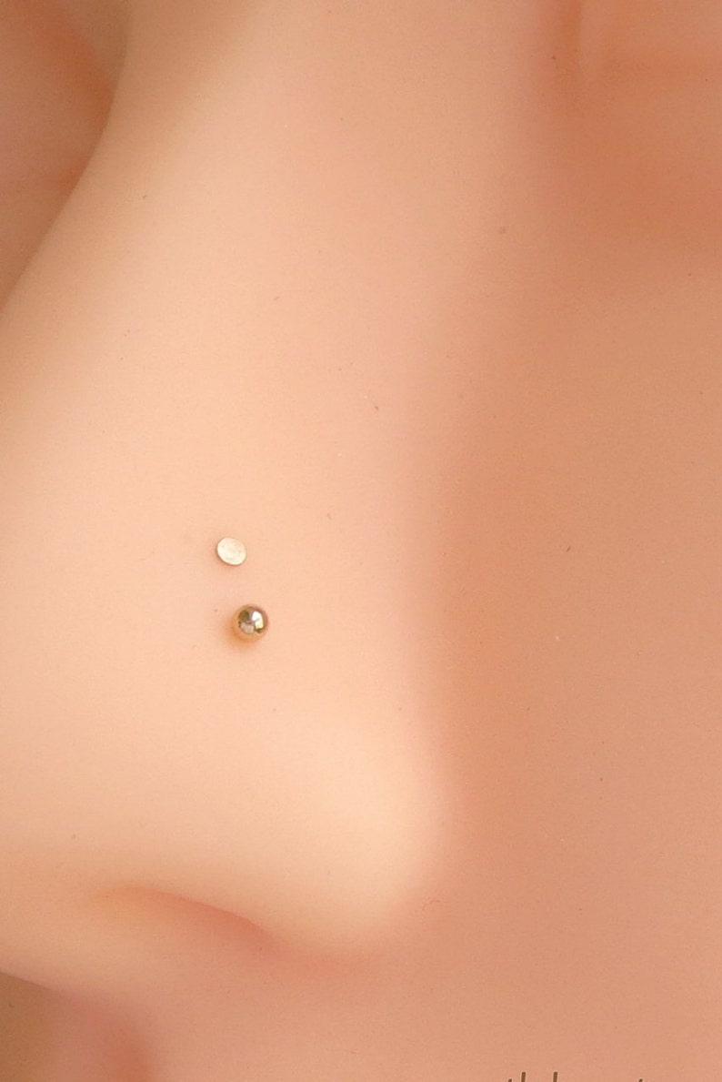 May include: Close-up of a person's nose with two small gold nose rings. The ring on the left is a flat disc and the ring on the right is a small ball.