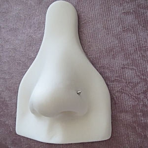 May include: White plastic nose piercing practice tool with a small silver stud in the nostril.