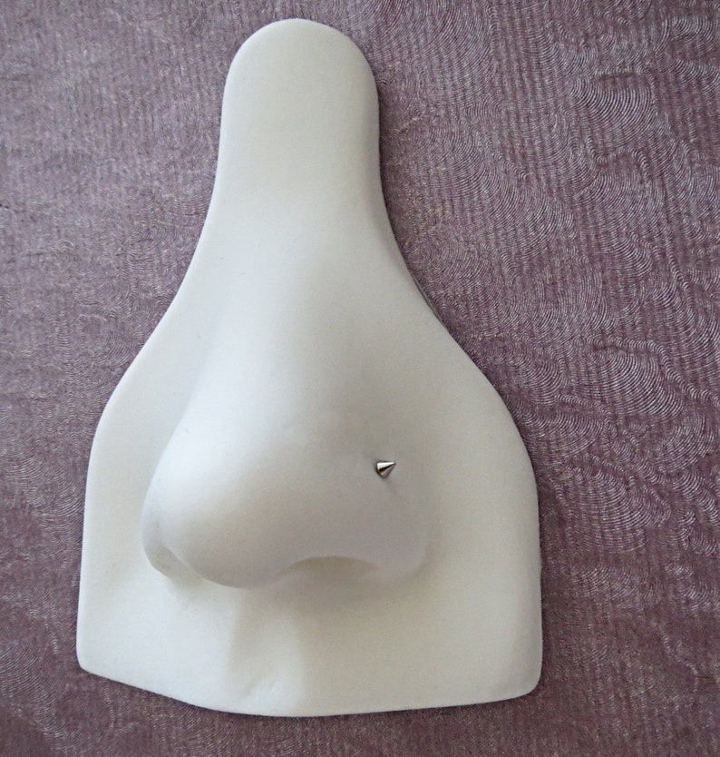 May include: White plastic nose piercing practice tool with a small silver stud in the nostril.