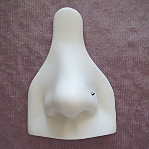 May include: A white plastic nose ring display with a silver nose ring stud.