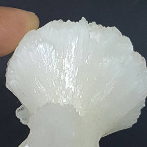Bowtie stilbite Crysta
