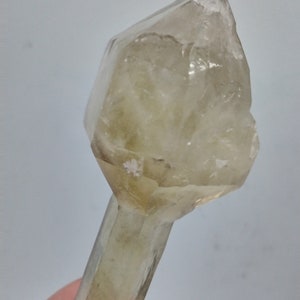 Citrine Quartz Scepter image 8