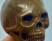 Natural bamboo jasper realistic human skull