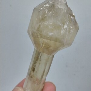 Citrine Quartz Scepter image 4