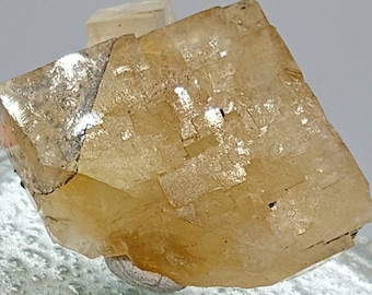 Yellow Cubic Fluorite Crystal!