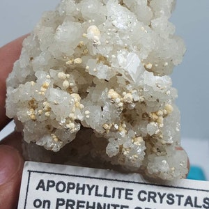 May include: A cluster of white apophyllite crystals on prehnite crystals from Nasik, India.