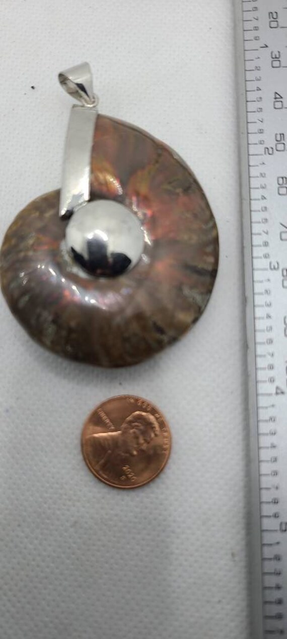 Fossilized Opalescent Ammonite/Gastropada Shell Pendent!