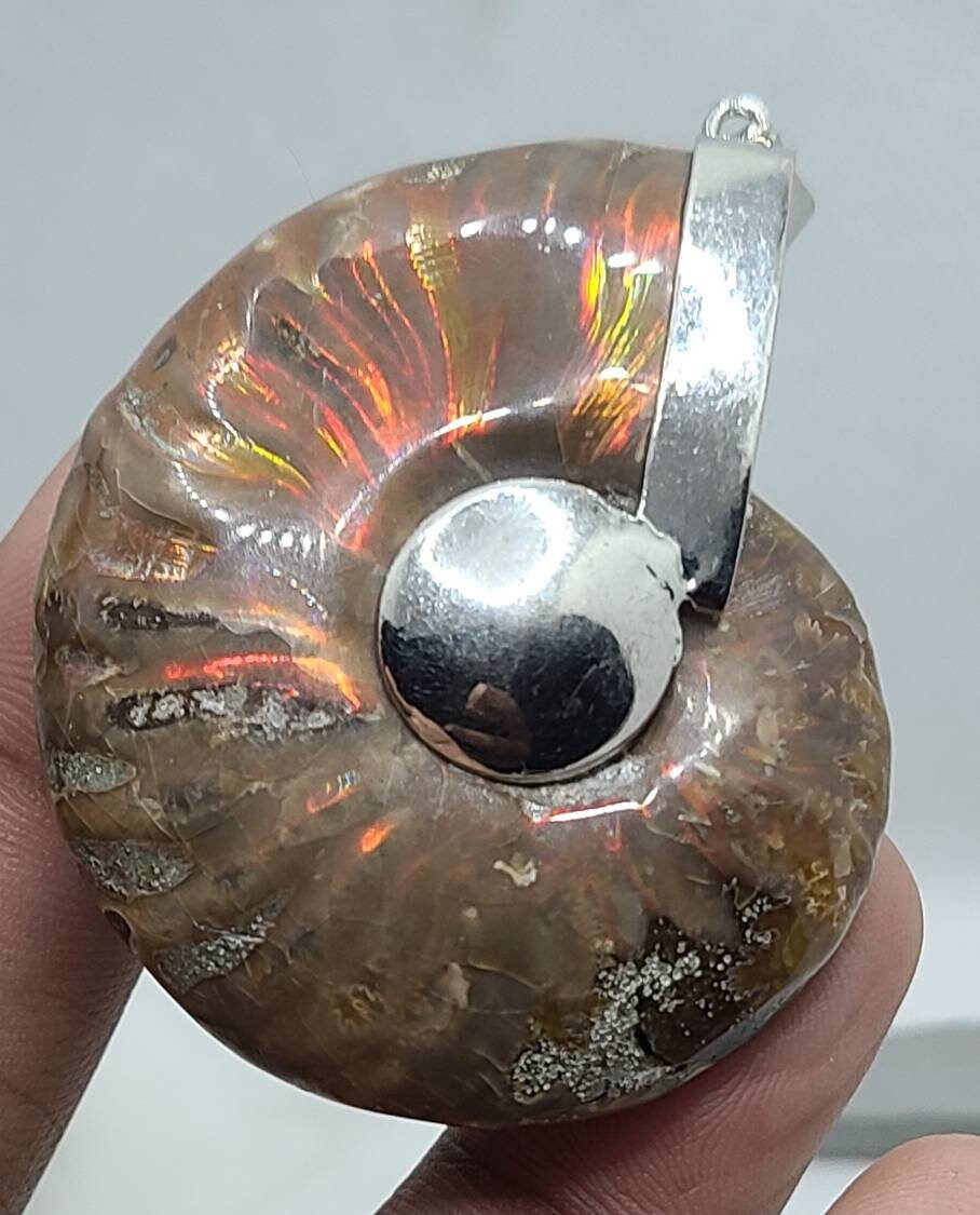 Fossilized Opalescent Ammonite/Gastropada Shell Pendent!