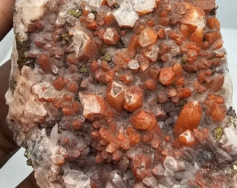 Natural Red/White terminated Quartz Cluster with Pyrite Crystals !!