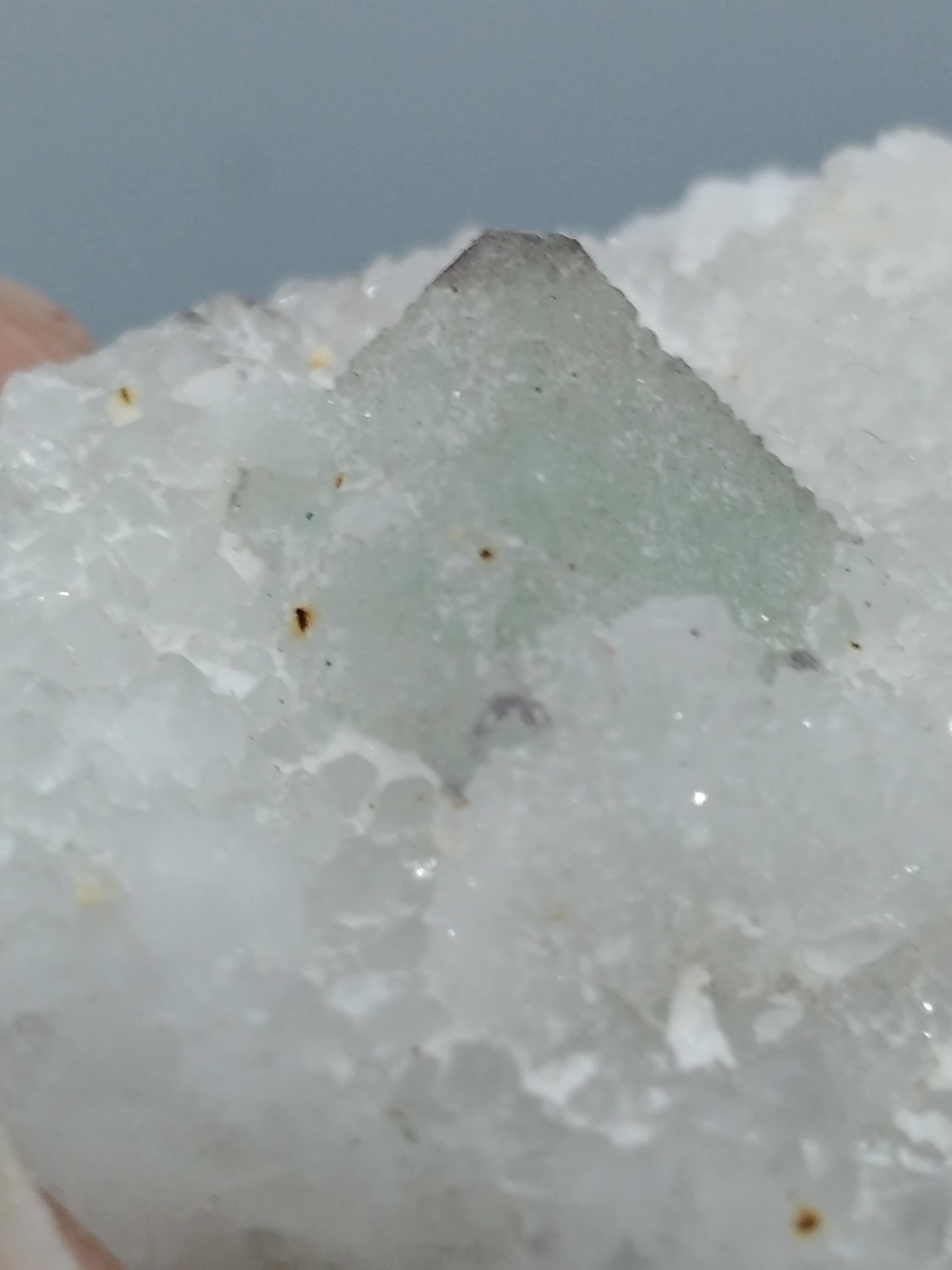 石英上の蛍石 石英マトリックス上の蛍石結晶 - Etsy 日本