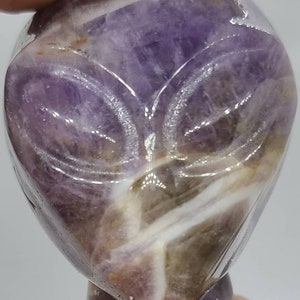 Peut inclure: Une tête d'extraterrestre sculptée dans un cristal d'améthyste violet. Le cristal présente un motif en spirale blanc et brun.