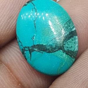 May include: A turquoise cabochon gemstone with black and white veins. The stone is oval shaped and has a smooth, polished surface.