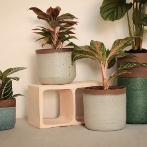 Flower pot, flower vase, indoor plant, outdoor plant, ceramics image 3