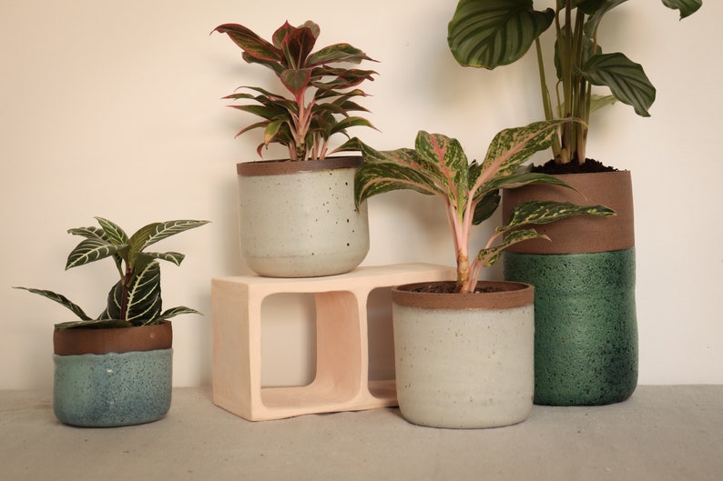 Flower pot, flower vase, indoor plant, outdoor plant, ceramics image 3