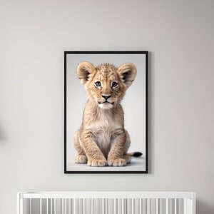 Op de afbeelding: Een close-up van een lichtbruin leeuwenwelpje dat op een witte achtergrond zit. Het welpje heeft grote, ronde oren en heldere, blauwe ogen. Het kijkt recht in de camera met een nieuwsgierige uitdrukking.