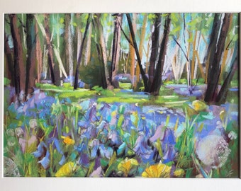 Original pastel painting. Bluebell woods.