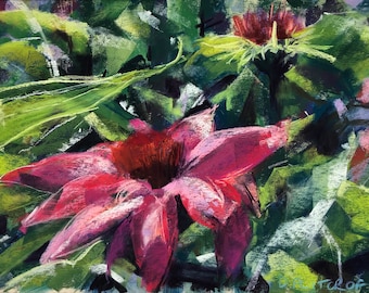 Original pastel painting. Echinacea.