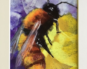 Original pastel painting. Tawny mining bee on yellow flower