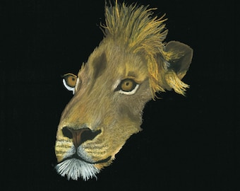 Print of an original pastel drawing of a lion