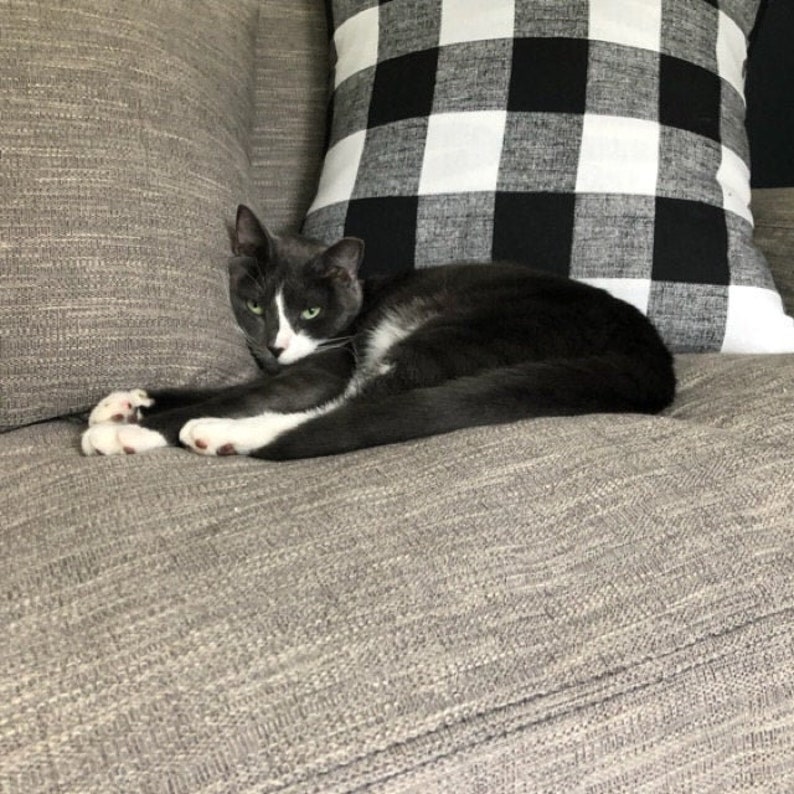 May include: A gray and white cat is lounging on a gray sofa. The cat has white paws, a white chest, and a white patch on its face. A black and white checkered pillow is behind the cat.