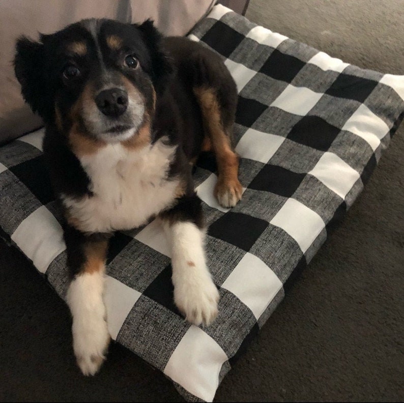 May include: A small dog with black, brown, and white fur is lying on a black and white checkered pillow. The dog is looking directly at the camera. The pillow is rectangular and appears to be made of fabric.