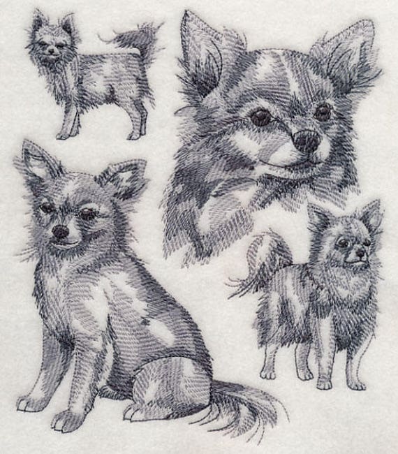 Long Haired Chihuahua Sketch Blacks Dog Design 458 Etsy