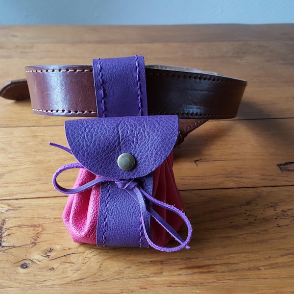 Bourse passant à la ceinture rose/lilas