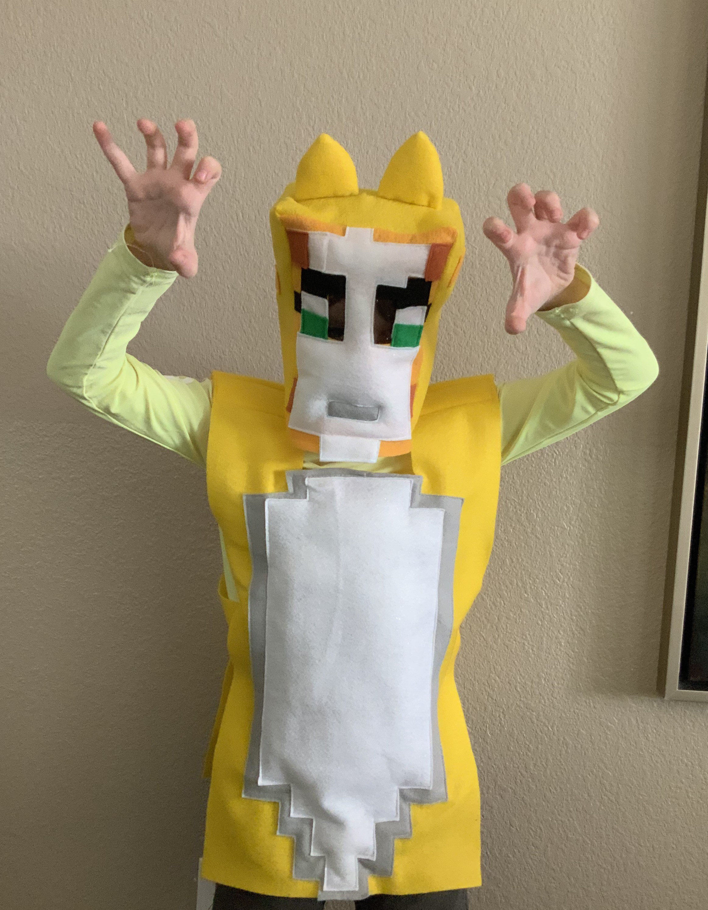 Minecraft Stampy Cat Costume Made To Order Denmark