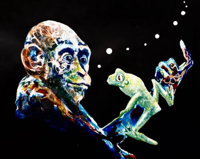 Monkey and the Frog