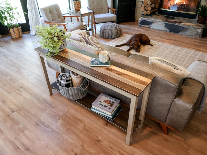 a cozy living room with a brown dog resting on a rug, a wooden coffee table with a plant and a mug, a gray sofa, and a bookshelf filled with books and decorative items.