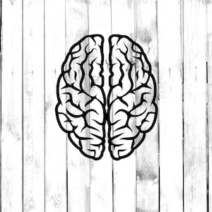 May include: A black and white line drawing of a human brain. The brain is depicted as two hemispheres, with the left and right sides connected by a central line.