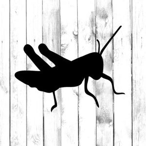 Grasshopper Decal - Yeti/Tumbler/Water Bottle/Car/Laptop/Truck/Phone/Computer/Home Decal